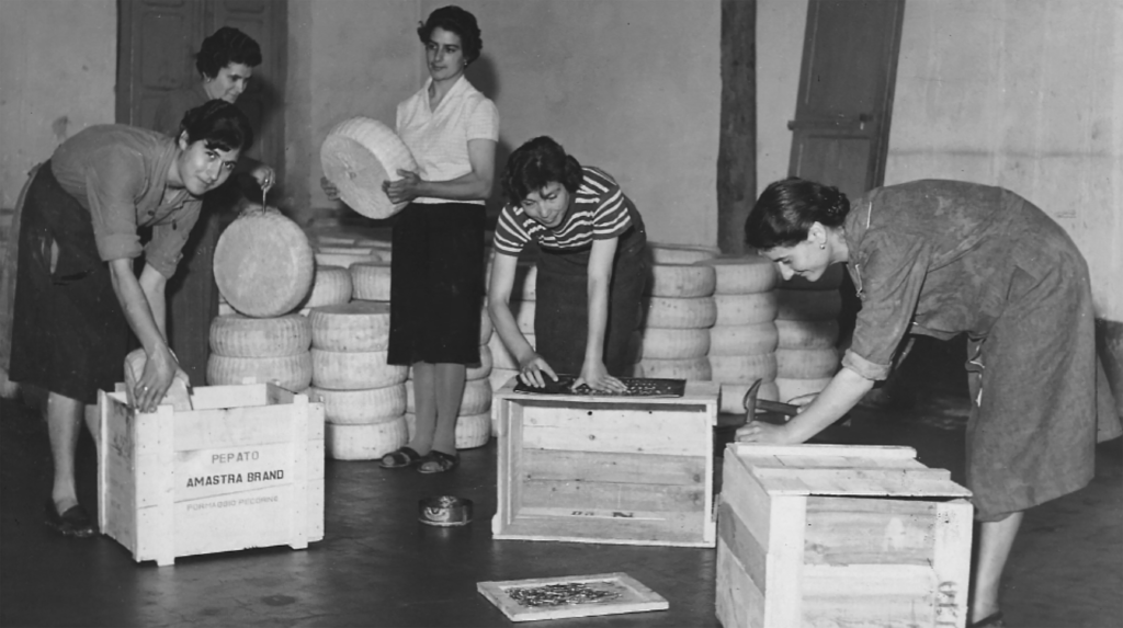 Women packing wheels of cheese for the family food business in Sicily